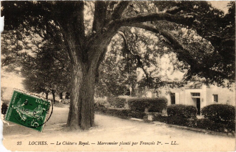 Carte postale ancienne Loches Chateau Royal à Loches