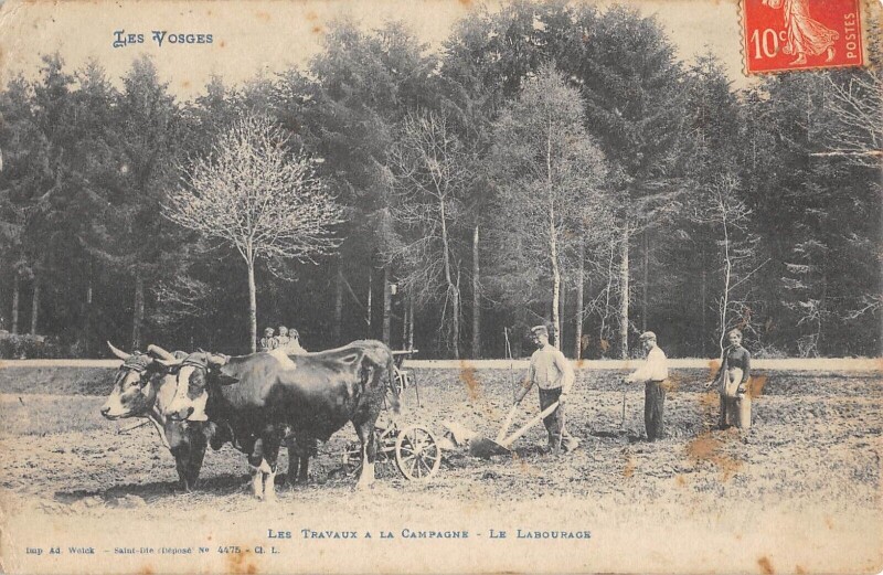 Carte postale ancienne Les Vosges - Les Travaux A La Campagne - Le Labourage