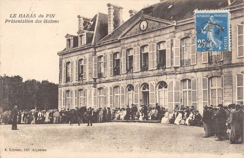 Carte postale ancienne Le Haras Du Pin - Presentation Des Etalons