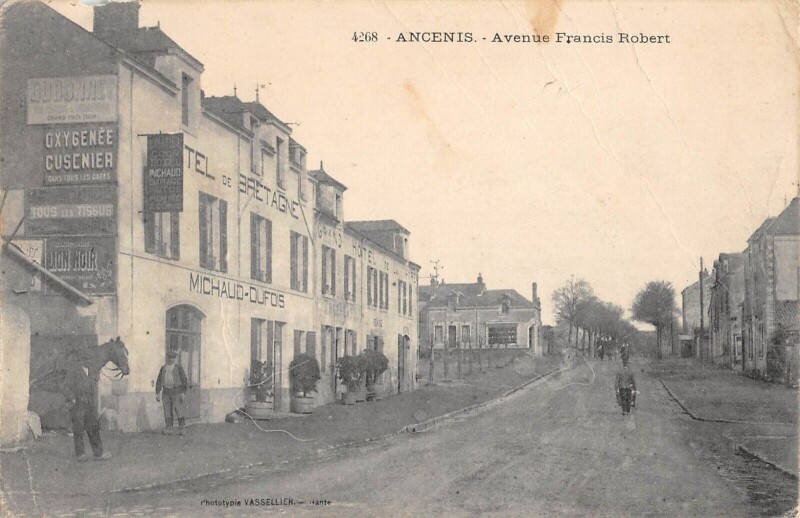 Carte postale ancienne Ancenis - Avenue Francis Robert