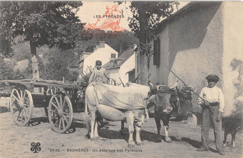 Carte postale ancienne Bagneres - Un Attelage Des Pyrenees
