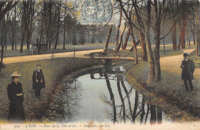 Carte postale ancienne Lyon - Parc De La Tete D'Or - Sous Bois