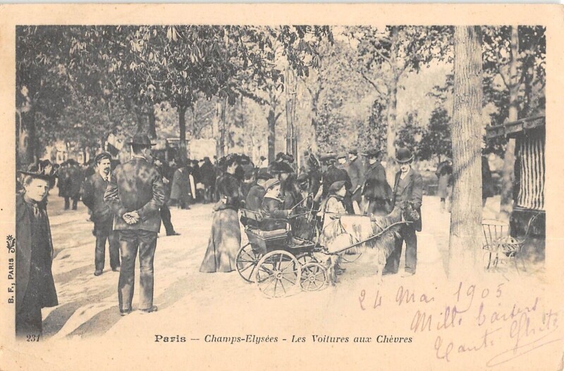Carte postale ancienne Paris - Champs Elysees - Les Voitures Aux Chevres