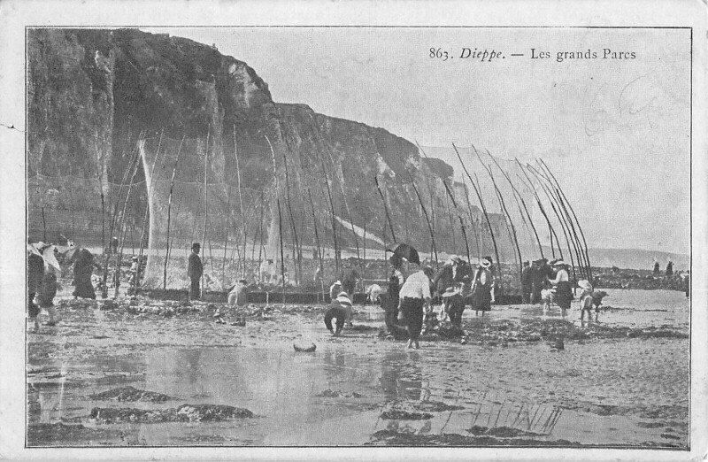 Carte postale ancienne Dieppe - Les Grands Parcs à Dieppe