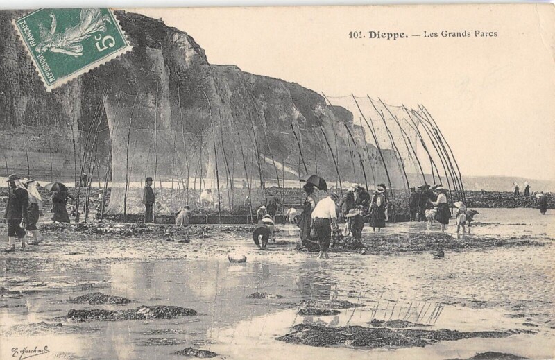 Carte postale ancienne Dieppe - Les Grands Parcs à Dieppe