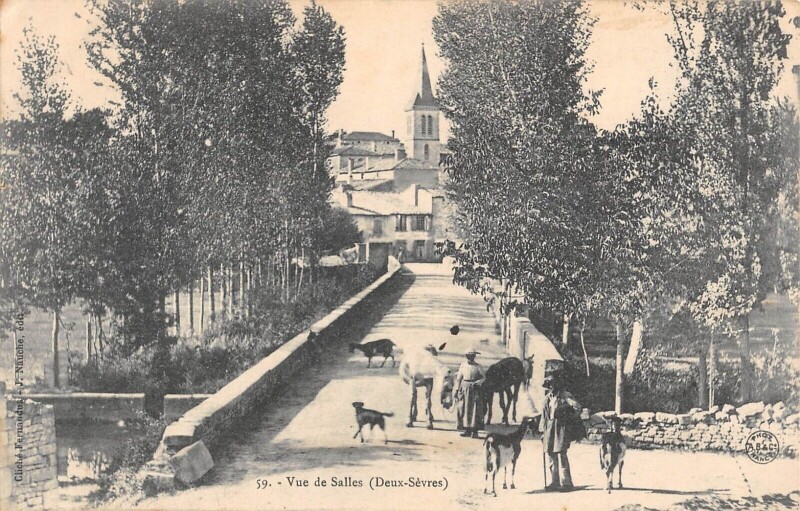 Carte postale ancienne Vue De Salles - Deux Sevres à Salles
