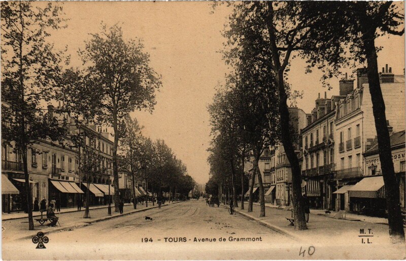 Carte postale ancienne Tours Avenue de Grammont à Tours