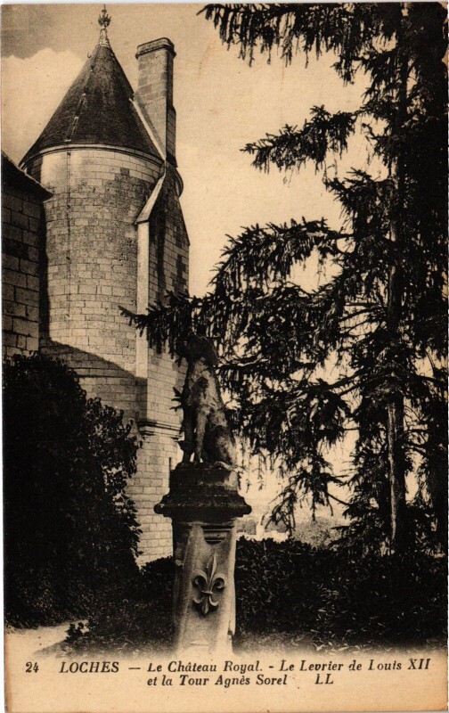 Carte postale ancienne Loches Chateau Royal Levrier de Louis Xii à Loches