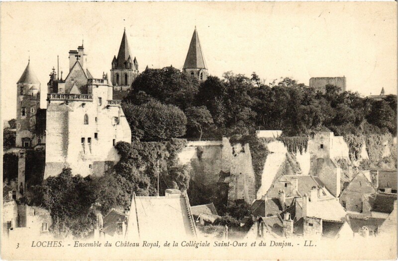 Carte postale ancienne Loches Ensemble du Chateau Royal à Loches