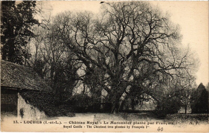 Carte postale ancienne Loches Chateau Royal à Loches