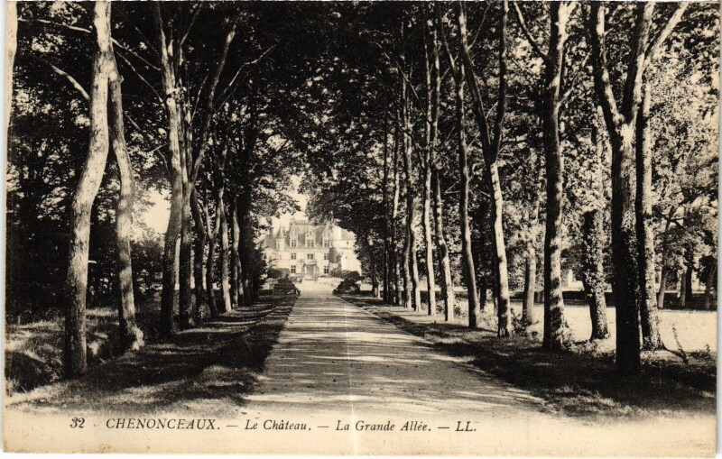 Carte postale ancienne Chenonceaux le Chateau Grande Allee à Chenonceaux