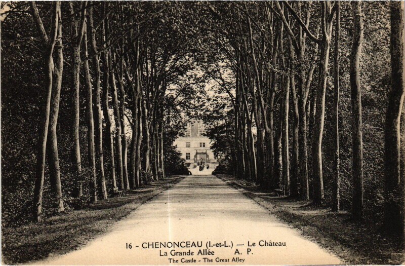 Carte postale ancienne Chenonceaux le Chateau Grande Allee à Chenonceaux
