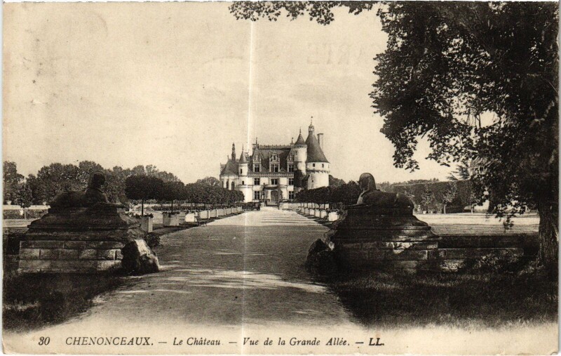Carte postale ancienne Chenonceaux le Chateau Grande Allee à Chenonceaux