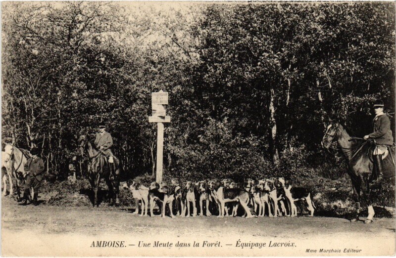 Carte postale ancienne Amboise une Meute dans la Foret à Amboise