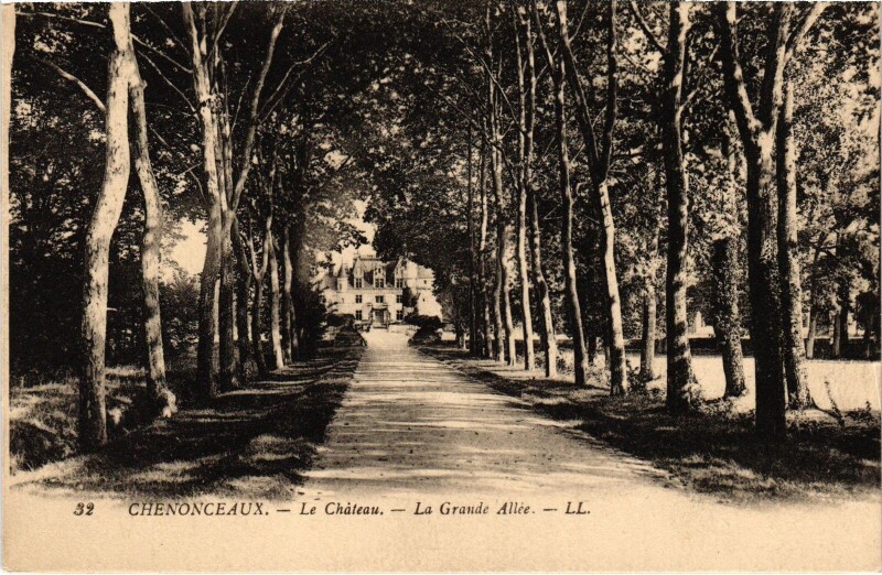 Carte postale ancienne Chenonceaux le Chateau Grande Allee à Chenonceaux