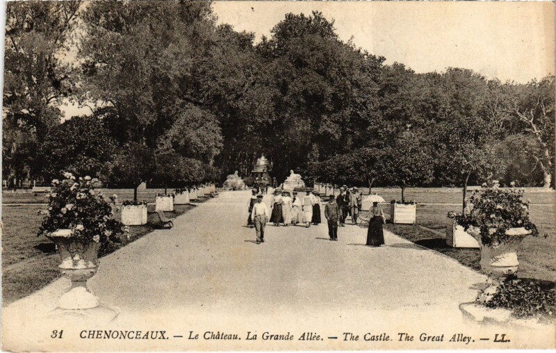 Carte postale ancienne Chenonceaux le Chateau Grande Allee à Chenonceaux