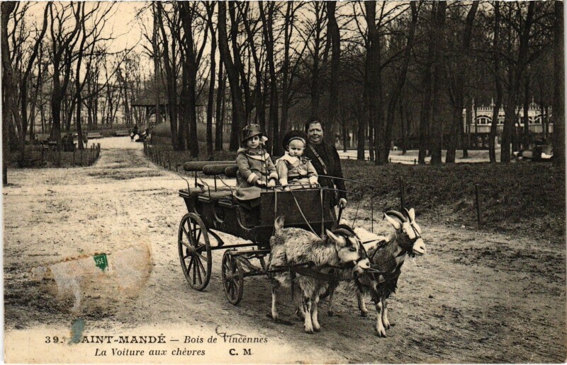 Carte postale ancienne Saint-Mandé Bois de Vincennes Voiture aux chevres à Saint-Mandé