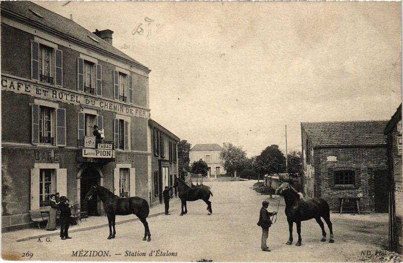 Carte postale ancienne Mézidon Station d'Etalons