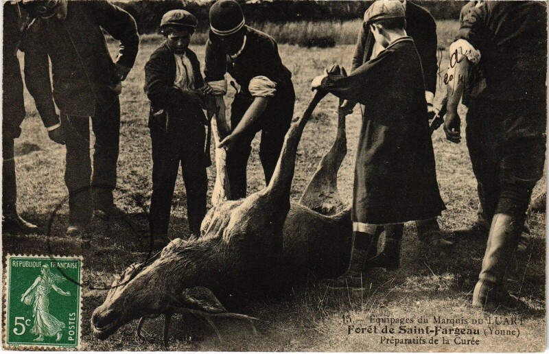 Carte postale ancienne Foret de Saint-Fargeau Chasse a courre Préparatifs la Curée Hunting à Saint-Fargeau