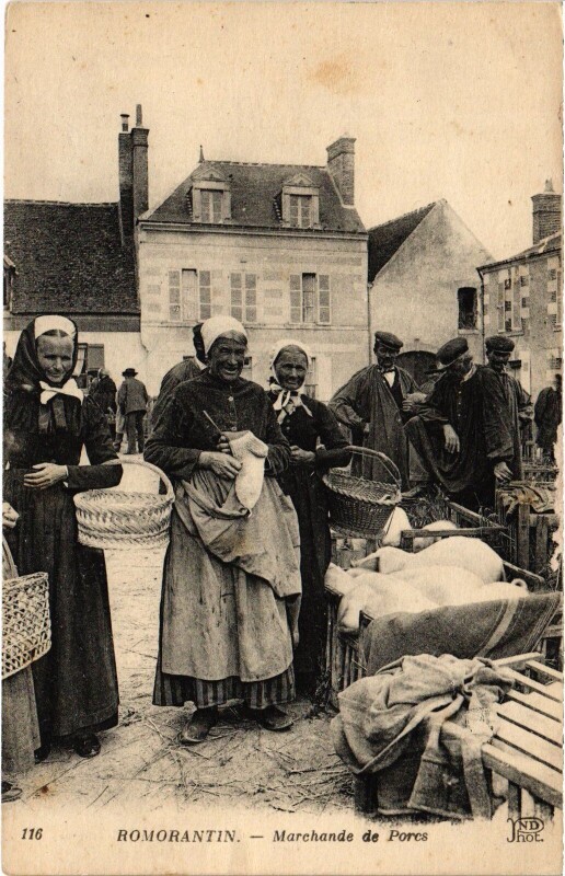 Carte postale ancienne Romorantin Marchande de POrcs