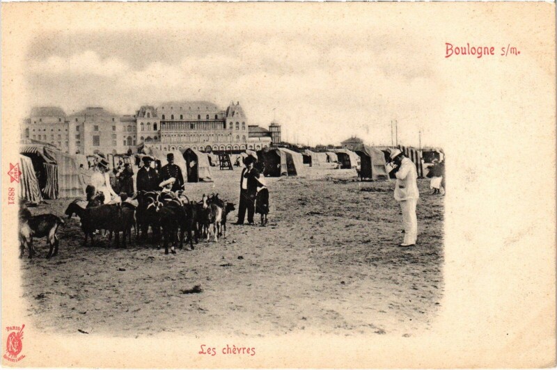 Carte postale ancienne Boulogne-sur-Mer Les chevres à Boulogne-sur-Mer