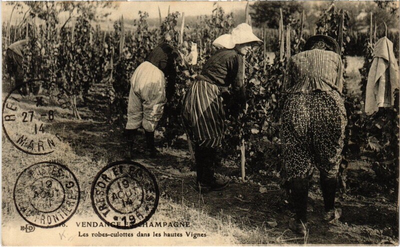 Carte postale ancienne Vendange en Champagne Robes-Culottes Folklore