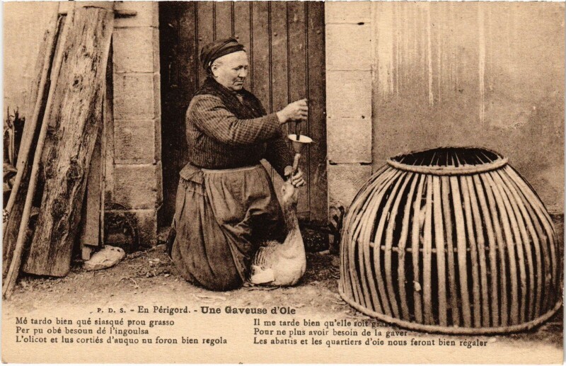 Carte postale ancienne Une graveuse d'oie Folklore