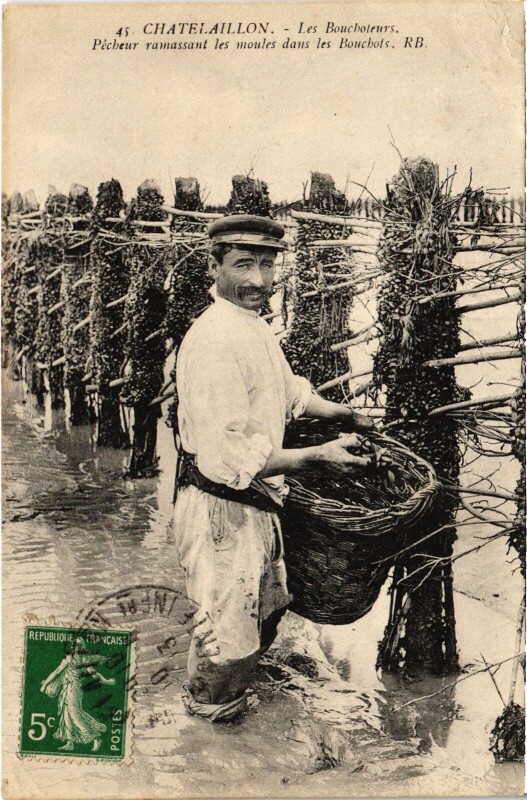Carte postale ancienne Chatelaillon Les Boucholeurs Ramasser les moules