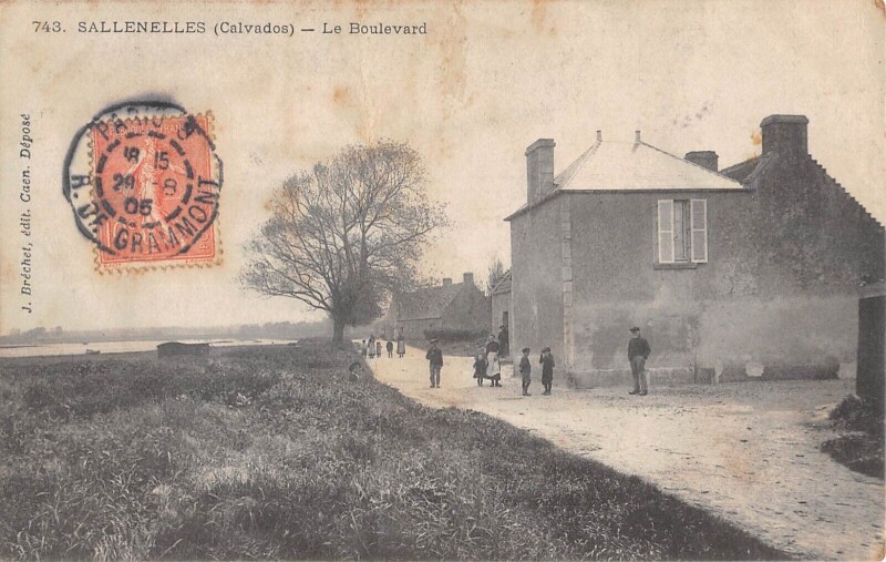 Carte postale ancienne Sallenelles - Le Boulevard à Sallen