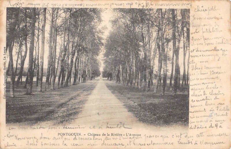 Carte postale ancienne Pontgouin - Chateau De La Riviere - L'Avenue à Pontgouin