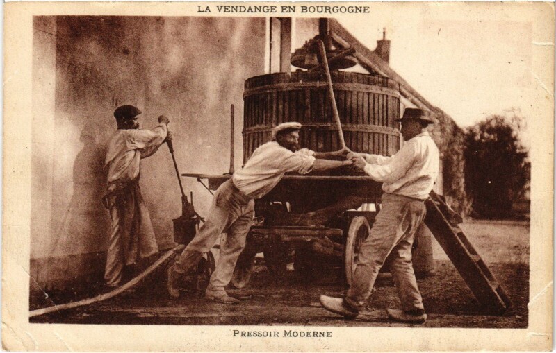 Carte postale ancienne Vendange en Bourgogne Pressoir Moderne