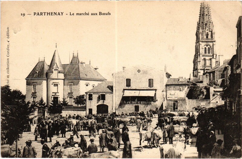 Carte postale ancienne Parthenay Marché aux boeufs à Parthenay