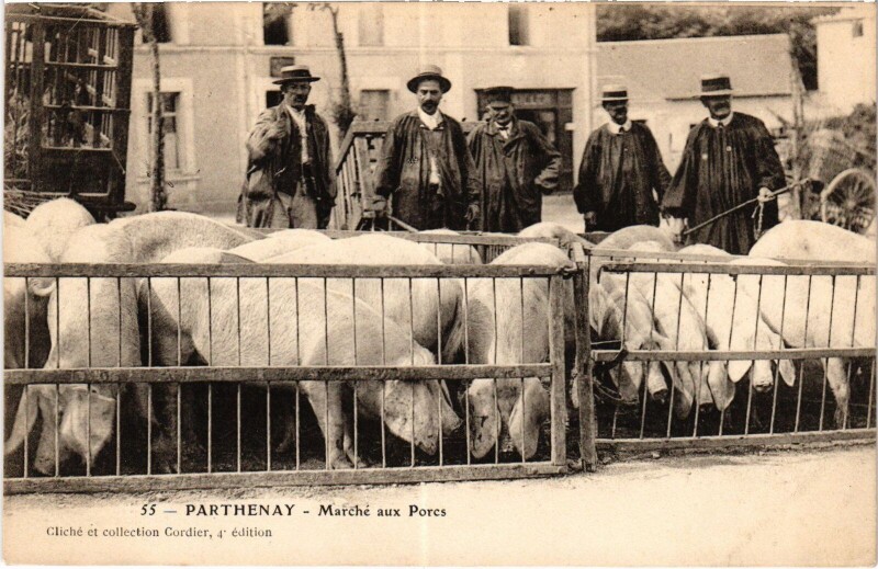 Carte postale ancienne Parthenay Marché aux Porcs à Parthenay