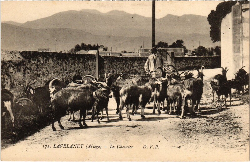 Carte postale ancienne Lavelanet Le Chevrier à Lavelanet