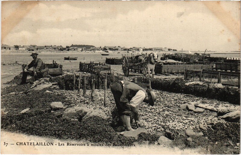 Carte postale ancienne Chatelaillon Les Réservoirs a moules