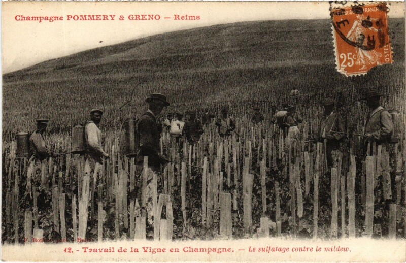 Carte postale ancienne Reims Champagne Pommery et Greno Sulfatage contre le mildew à Reims