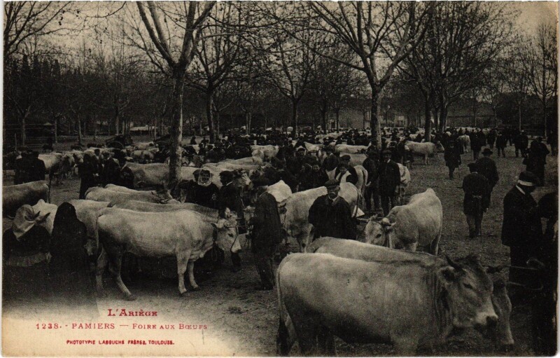 Carte postale ancienne Pamiers Foire aux Boeufs à Pamiers