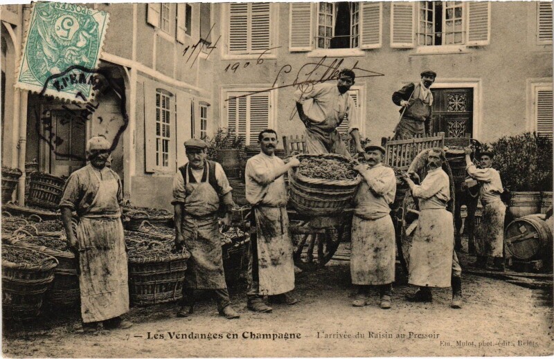 Carte postale ancienne Vendange en Champagne arrivée du Raisin au pressoir Folklore