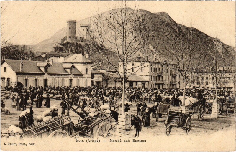Carte postale ancienne Foix Marché aux Bestiaux