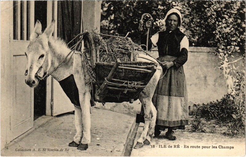 Carte postale ancienne Ile de Ré en route pour les champs Folklore