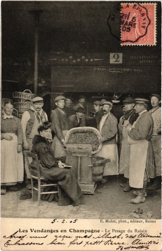 Carte postale ancienne Vendange en Champagne Pesage du Raisin