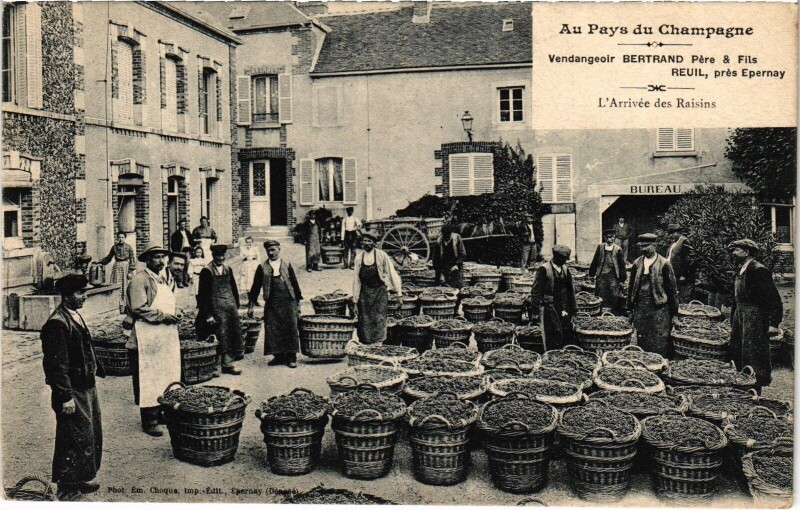 Carte postale ancienne Au Pays du Champagne Reuil Vendageoir Bertrand Pere et Fils à Reuil