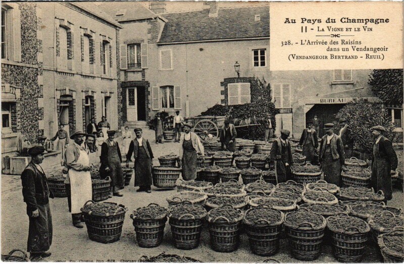 Carte postale ancienne Au Pays du Champagne Reuil Vendageoir Bertrand Pere et Fils à Reuil