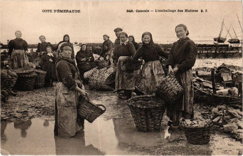 Carte postale ancienne Cancale - L'Emballage des Huitres à Cancale