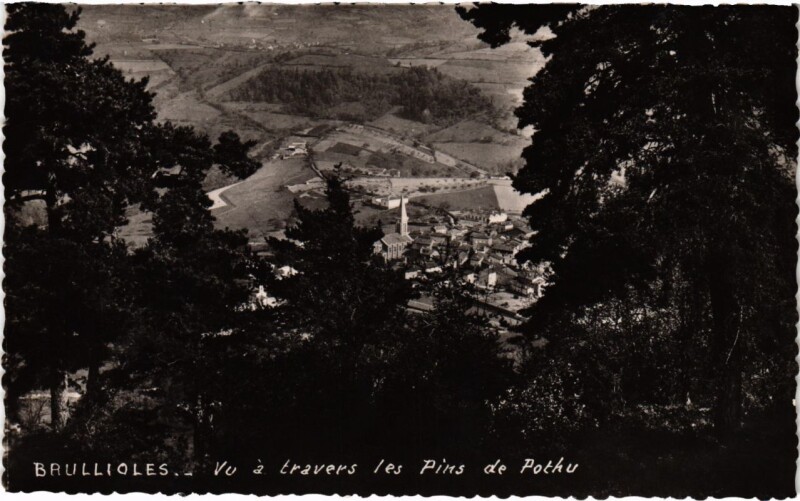 Carte postale ancienne Brullioles - Vu a Travers les Pins de Pothu à Brullioles