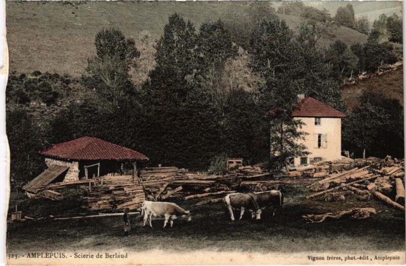 Carte postale ancienne Amplepuis - Scierie de Berlaud à Amplepuis