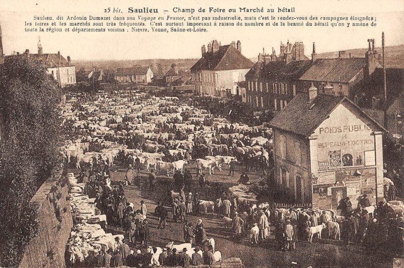 Carte postale ancienne Saulieu - Champ De Foire Ou Marche Au Betail à Saulieu