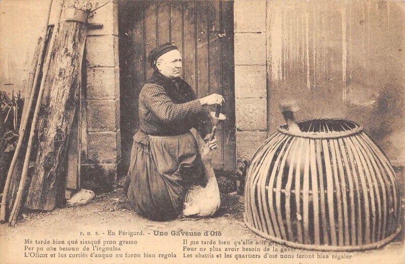 Carte postale ancienne En Perigord - Une Gaveuse D'Oie