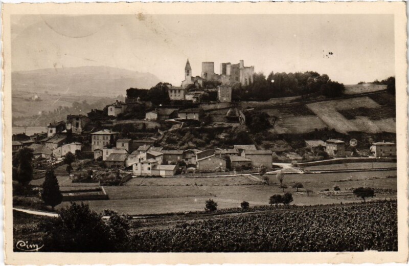Carte postale ancienne Chatillon-d'Azergues - Vue Generale