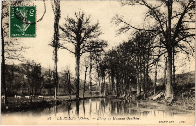 Carte postale ancienne Le Ronzy - Etang au Hameau Gauthier